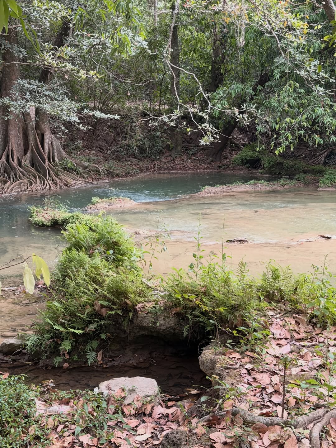 เอิร์ธ - กัษมนณัฏฐ์ นามวิโรจน์