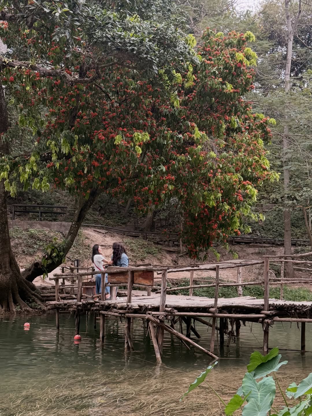 เอิร์ธ - กัษมนณัฏฐ์ นามวิโรจน์