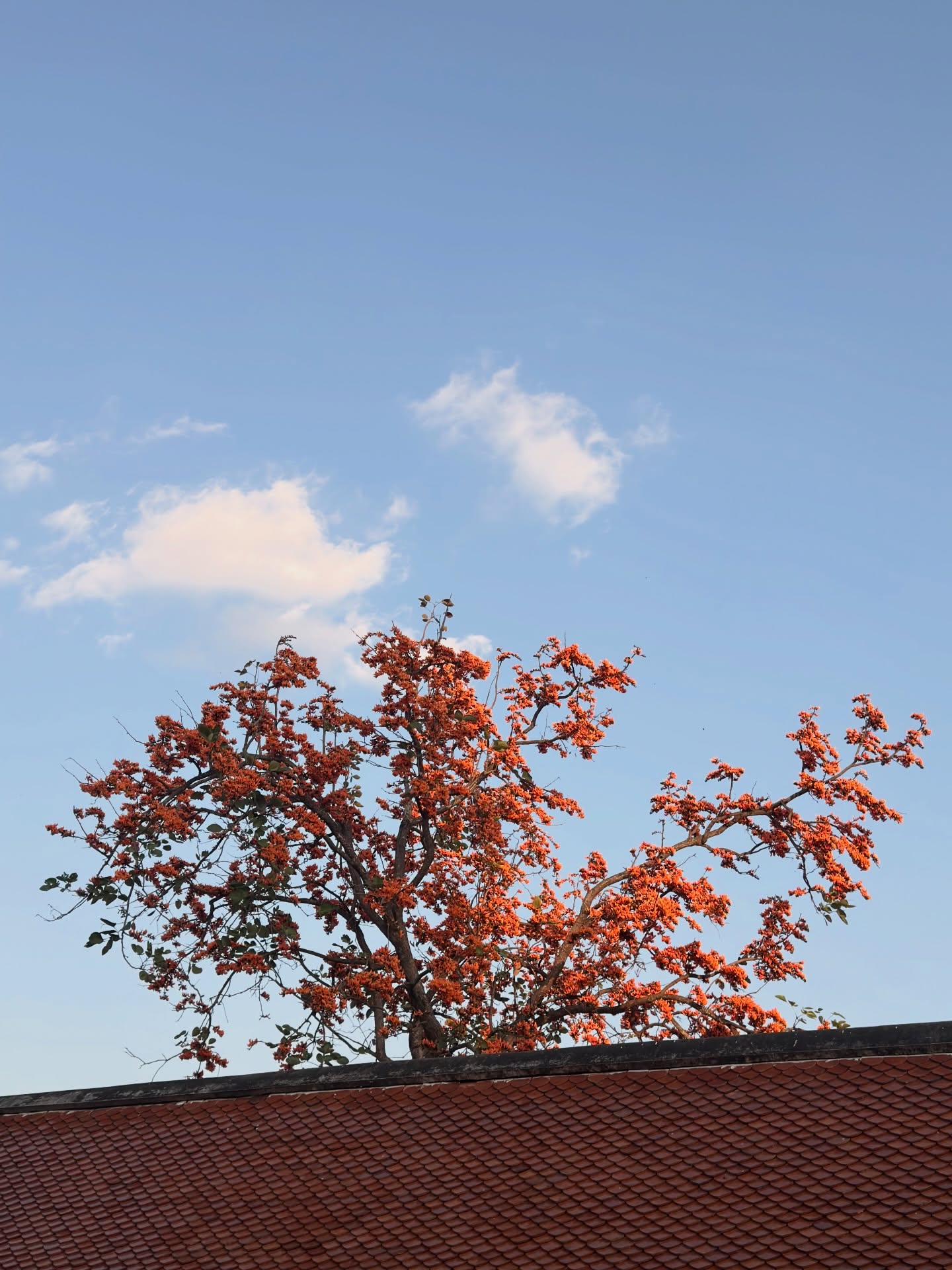 เอิร์ธ - กัษมนณัฏฐ์ นามวิโรจน์