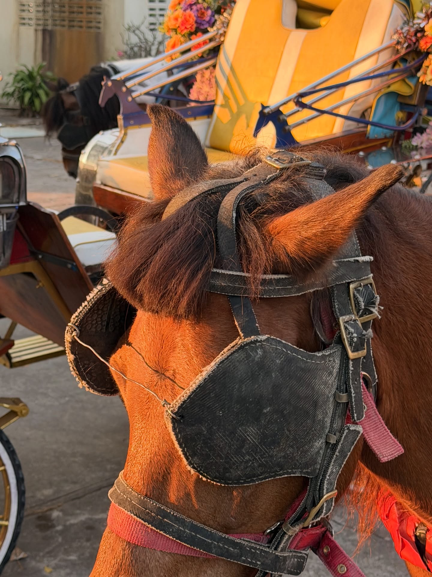 เอิร์ธ - กัษมนณัฏฐ์ นามวิโรจน์