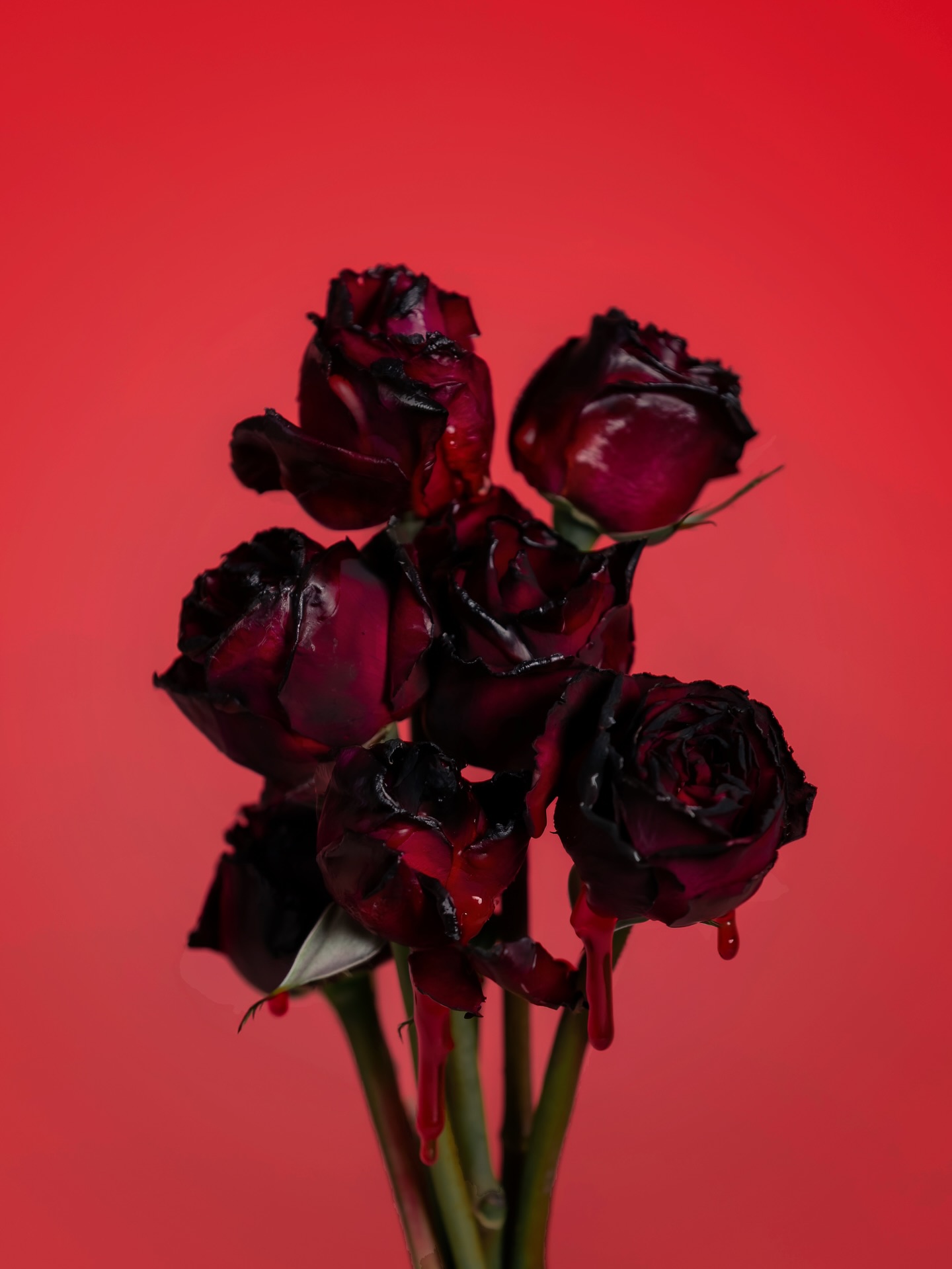 เอิร์ธ - กัษมนณัฏฐ์ นามวิโรจน์