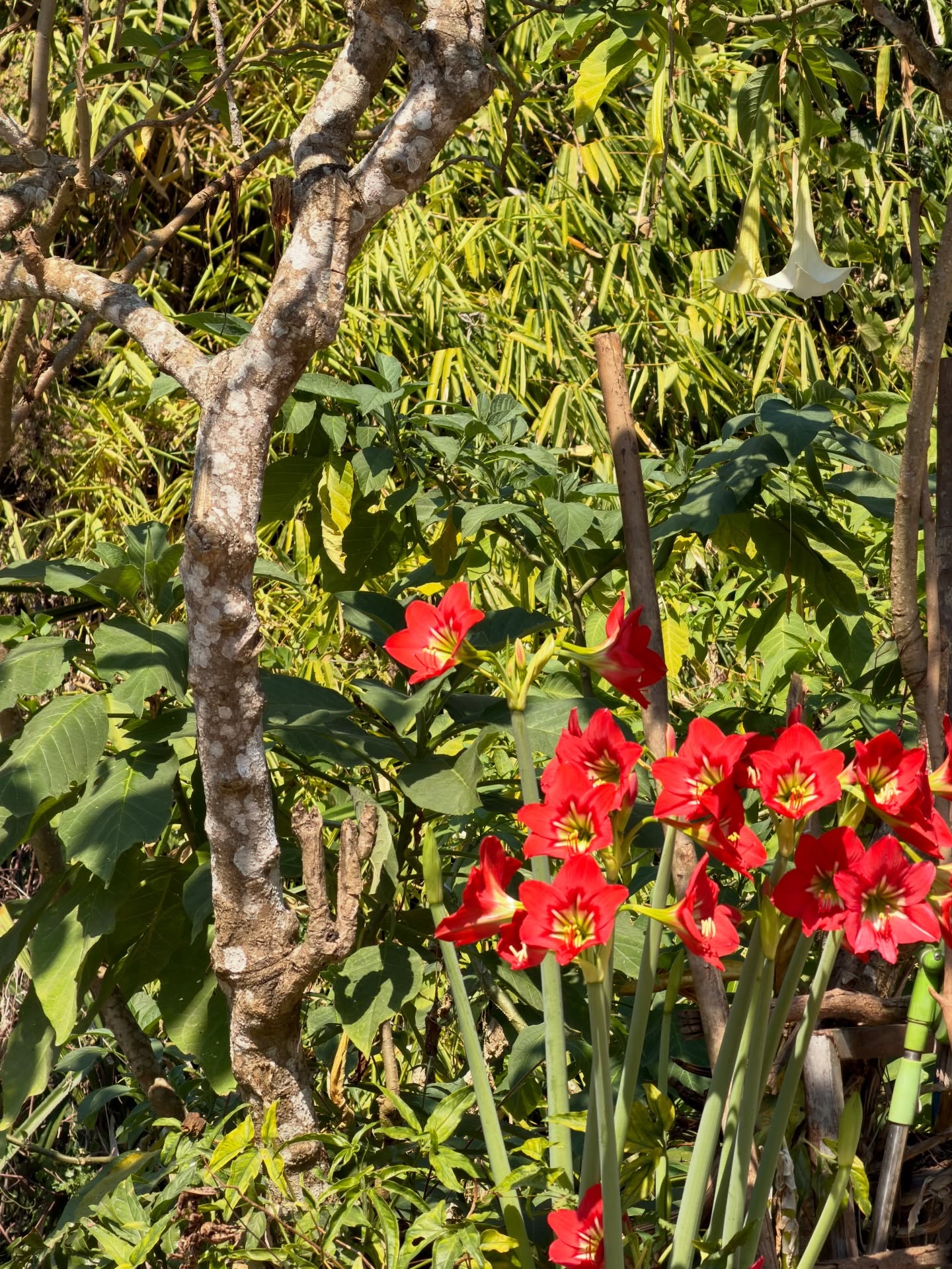 เอิร์ธ - กัษมนณัฏฐ์ นามวิโรจน์