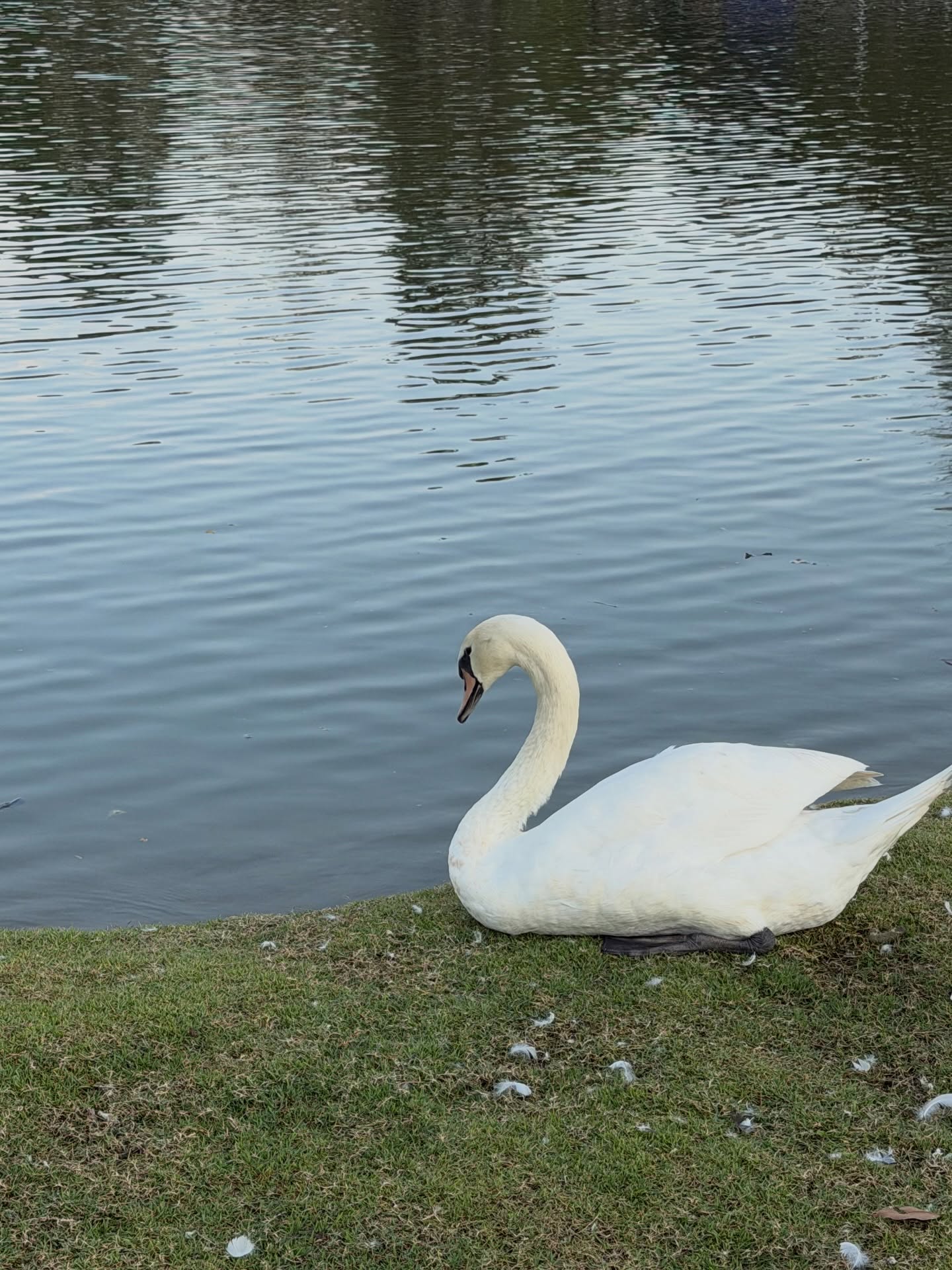 เอิร์ธ - กัษมนณัฏฐ์ นามวิโรจน์