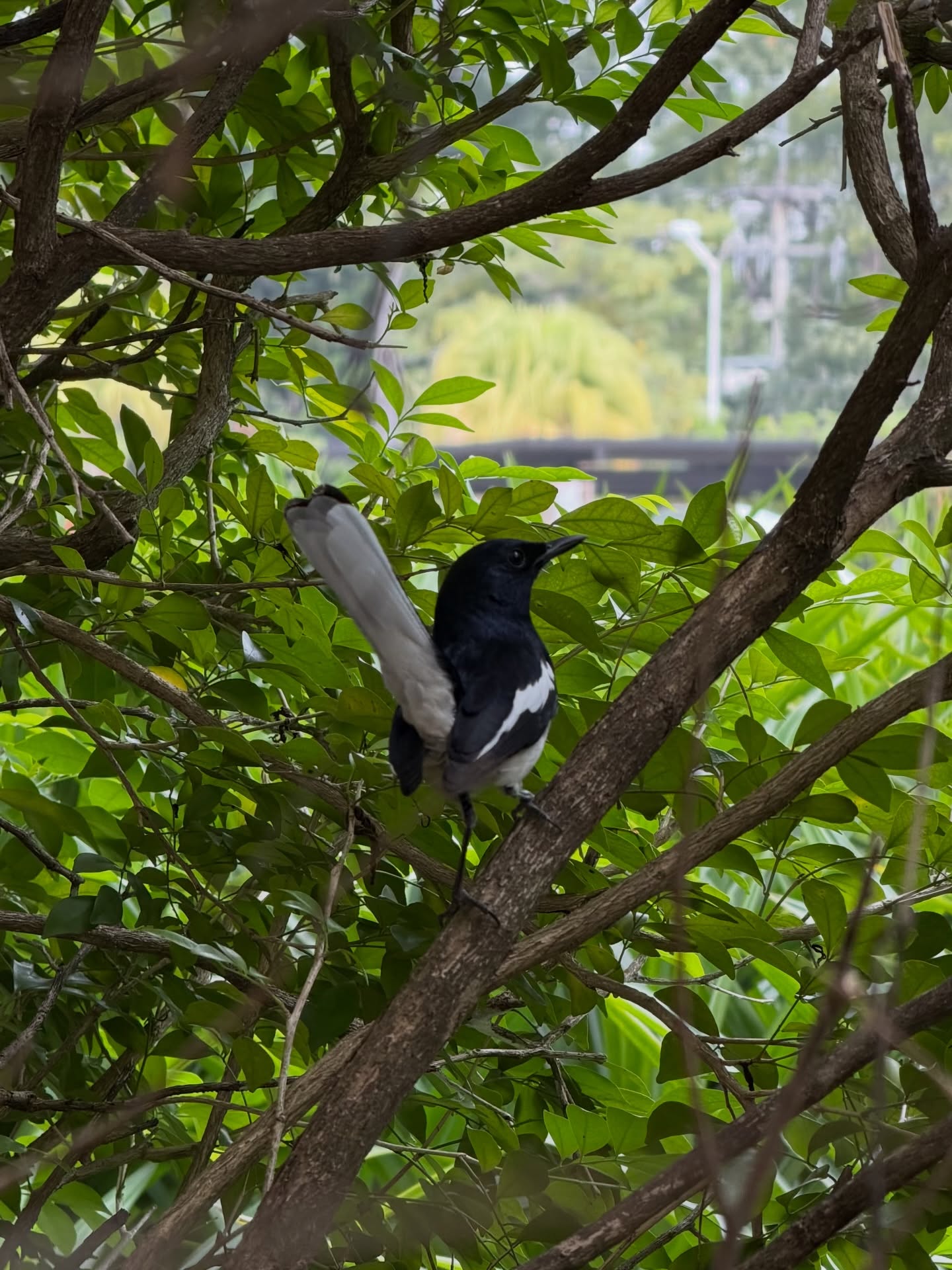 เอิร์ธ - กัษมนณัฏฐ์ นามวิโรจน์