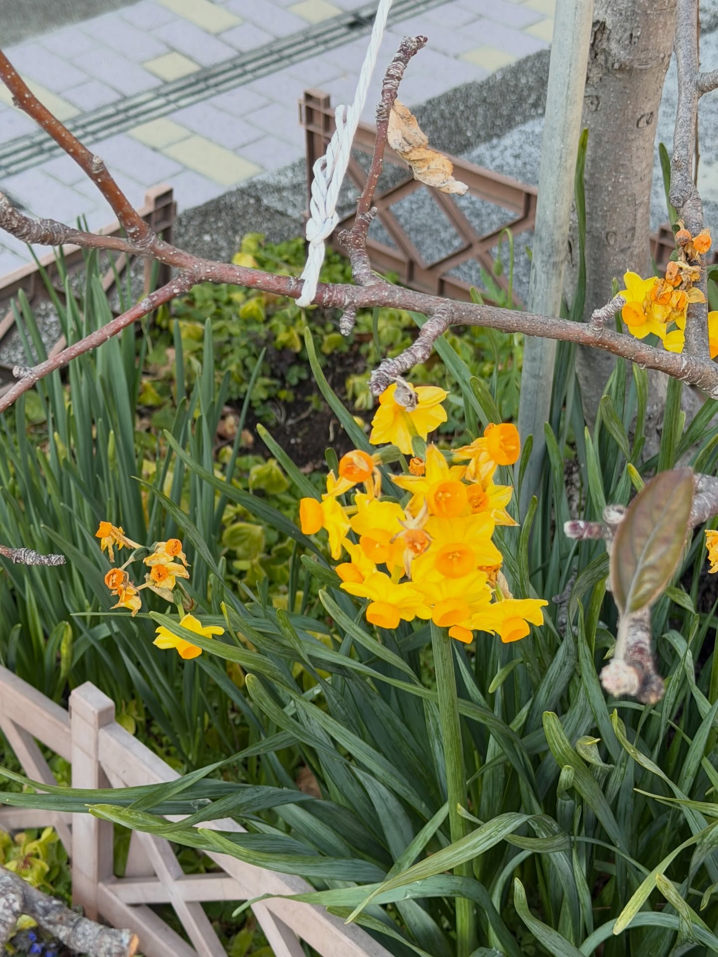 เอิร์ธ - กัษมนณัฏฐ์ นามวิโรจน์