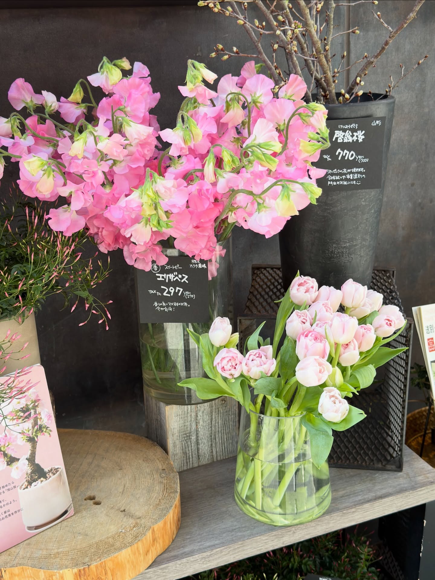 เอิร์ธ - กัษมนณัฏฐ์ นามวิโรจน์