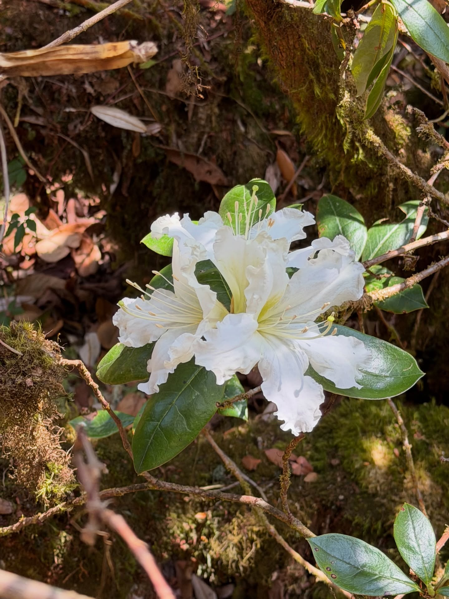 เอิร์ธ - กัษมนณัฏฐ์ นามวิโรจน์