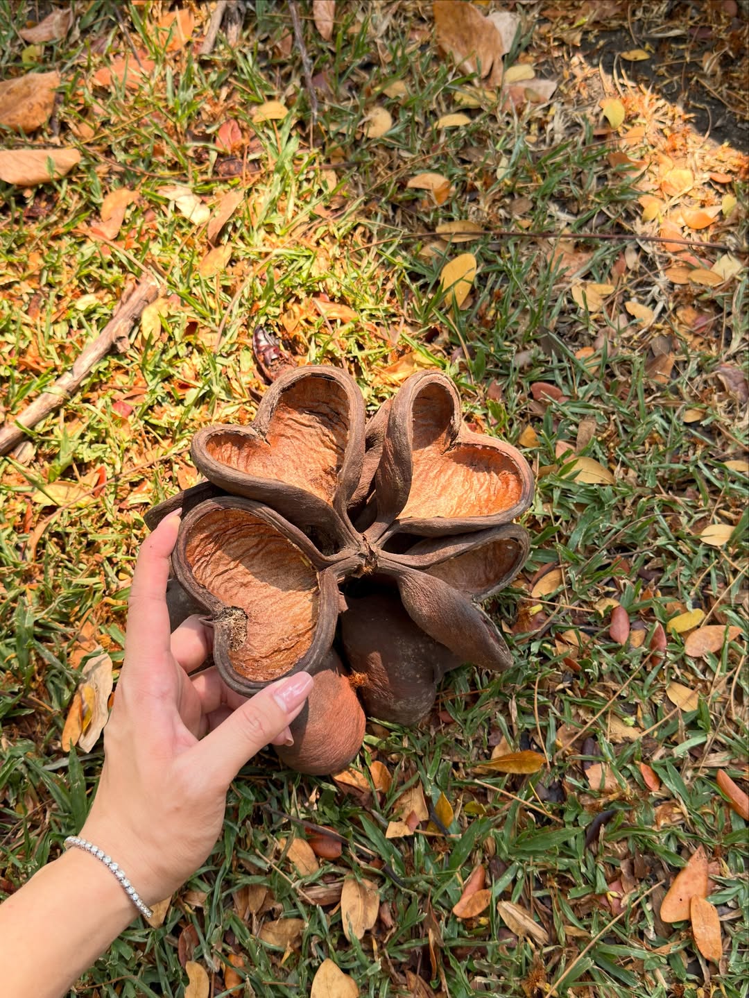 เอิร์ธ - กัษมนณัฏฐ์ นามวิโรจน์