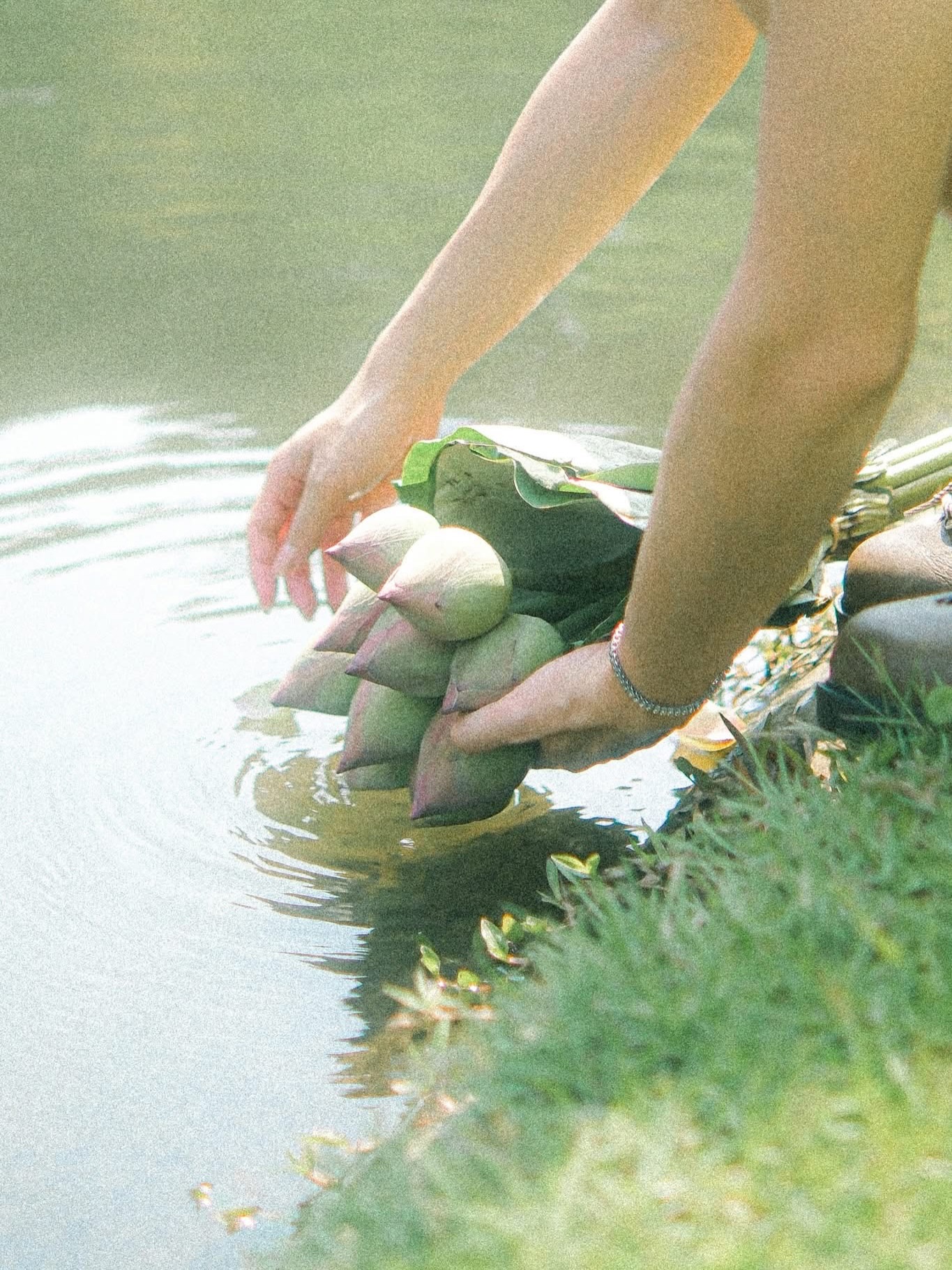 เอิร์ธ - กัษมนณัฏฐ์ นามวิโรจน์