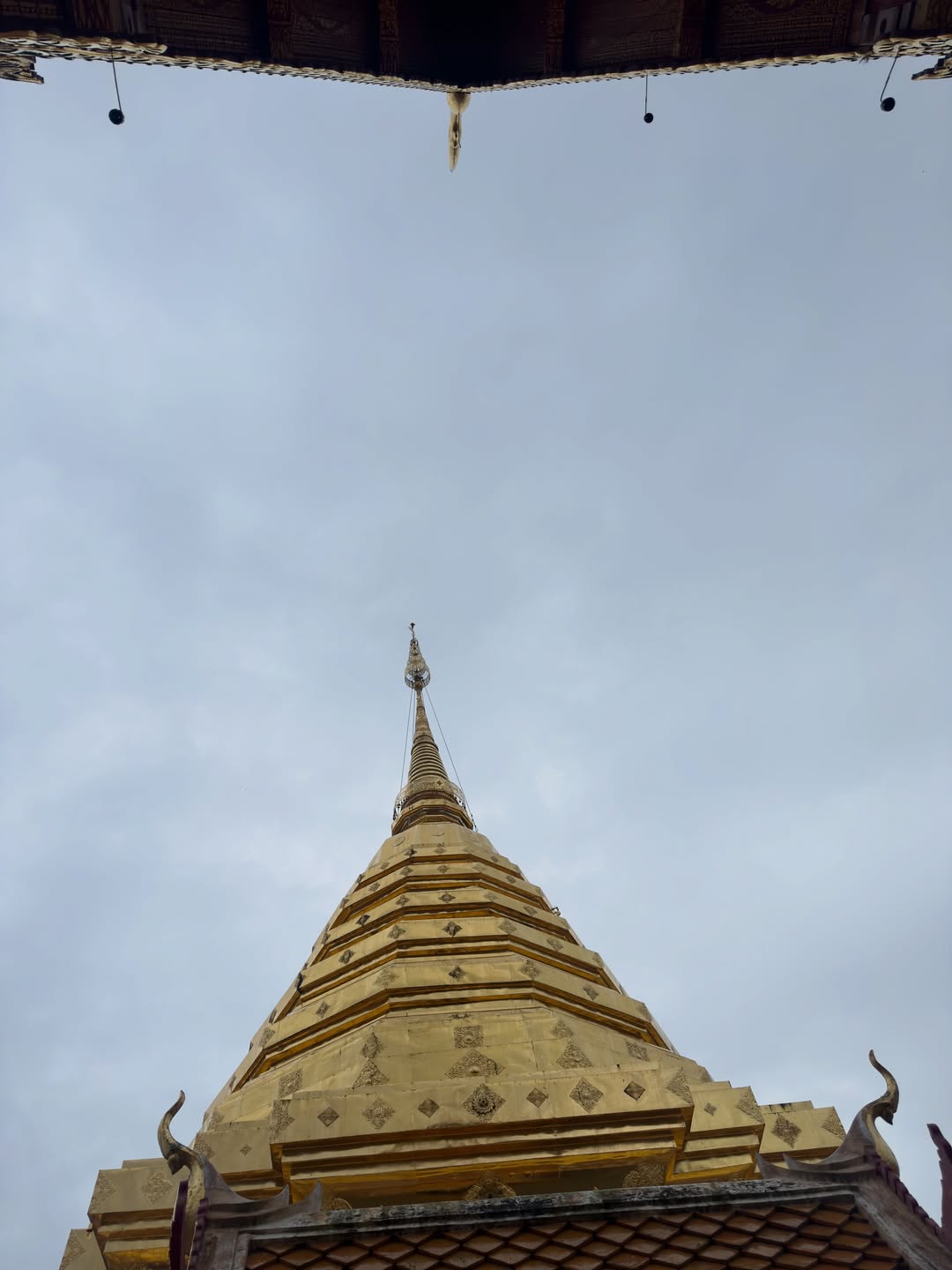 เอิร์ธ - กัษมนณัฏฐ์ นามวิโรจน์