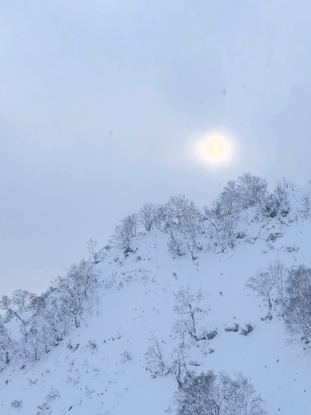 โอม - ปัณฑพล ประสารราชกิจ