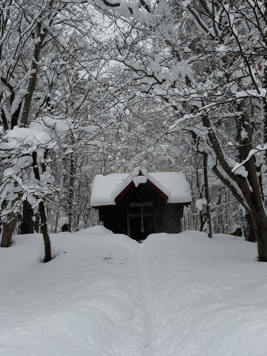 โอม - ปัณฑพล ประสารราชกิจ