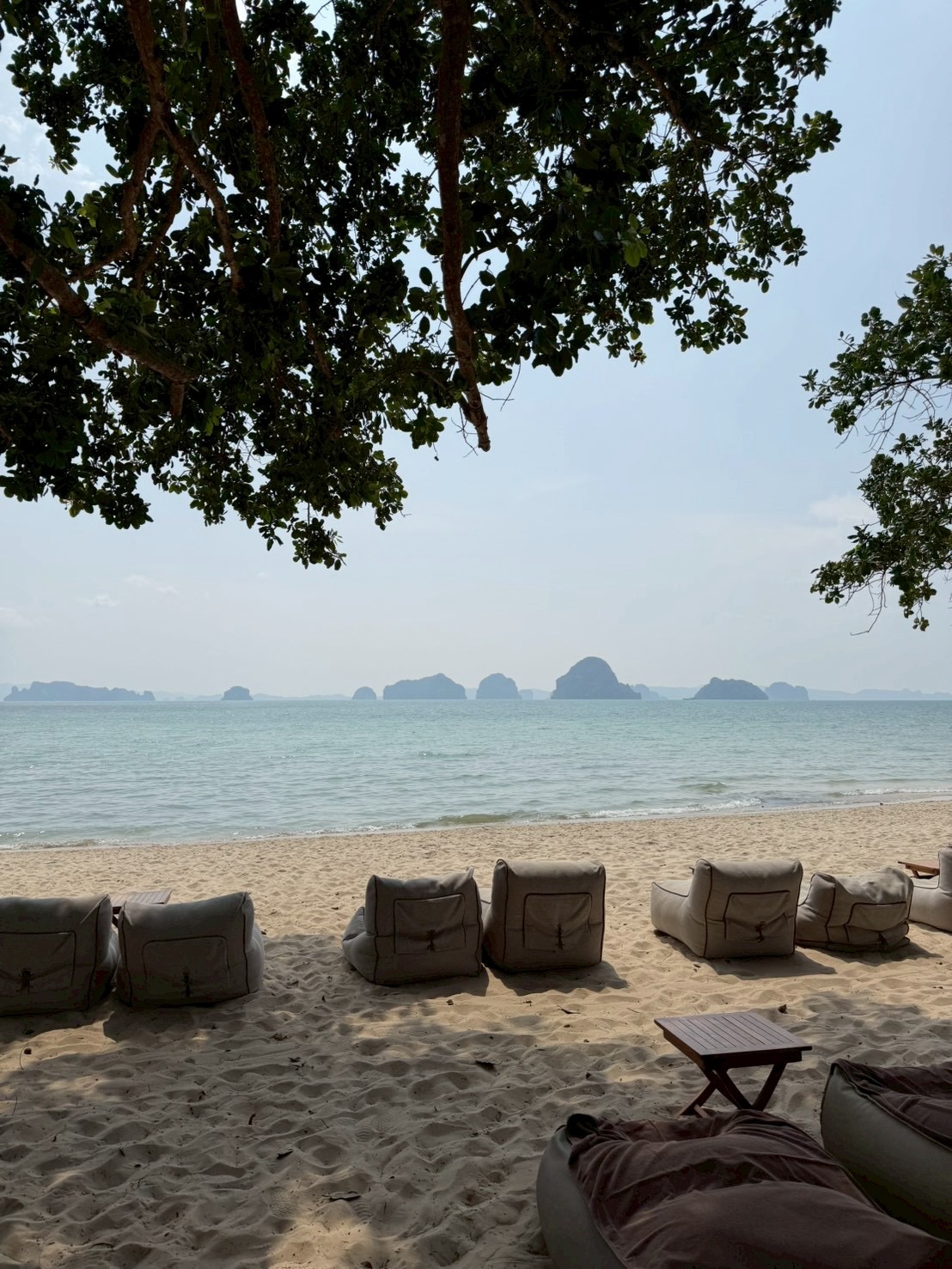 โอม - ปัณฑพล ประสารราชกิจ