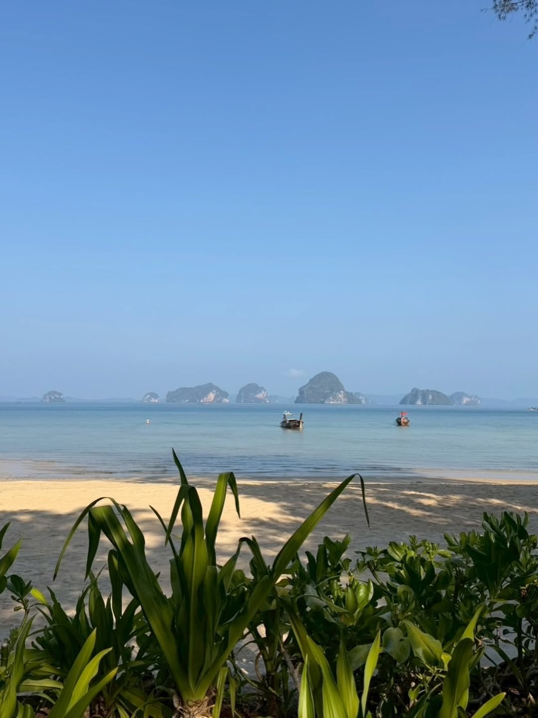 โอม - ปัณฑพล ประสารราชกิจ