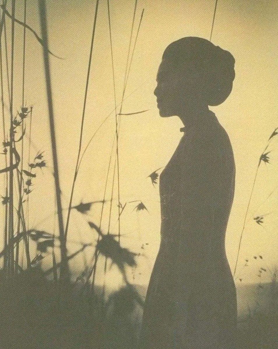 วิว - วรรณรท สนธิไชย