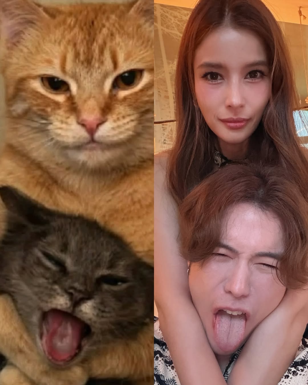 วิว - วรรณรท สนธิไชย