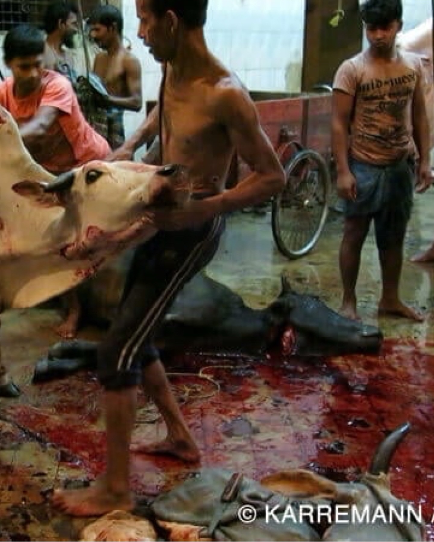 มารีญา พูลเลิศลาภ