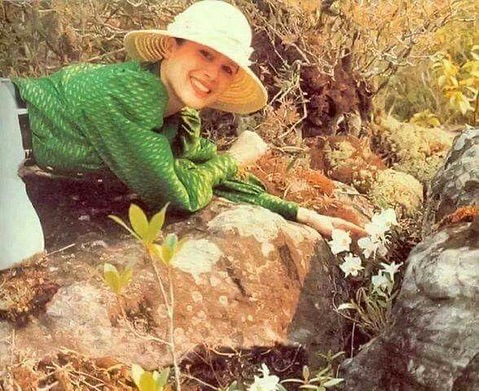 มารีญา พูลเลิศลาภ