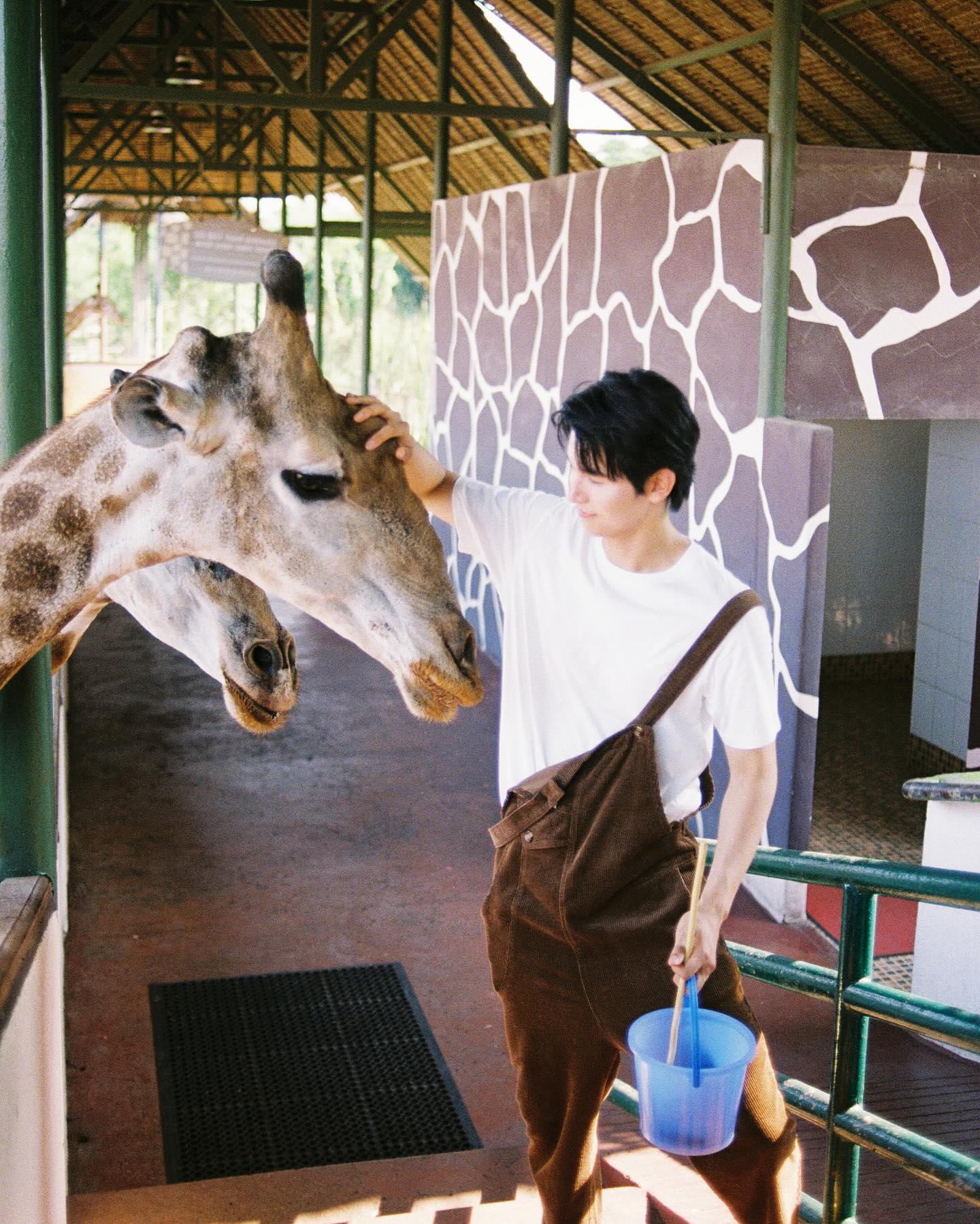 จา - พชร สวนศรี