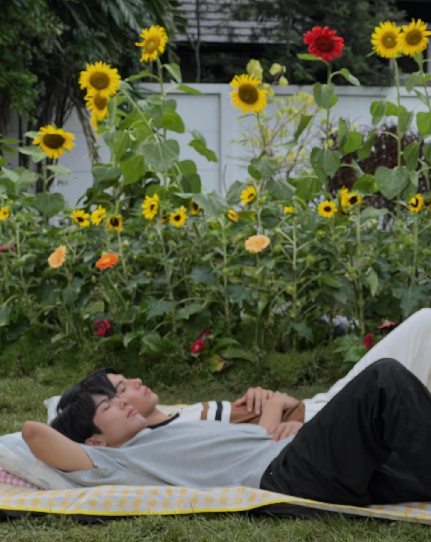 จา - พชร สวนศรี