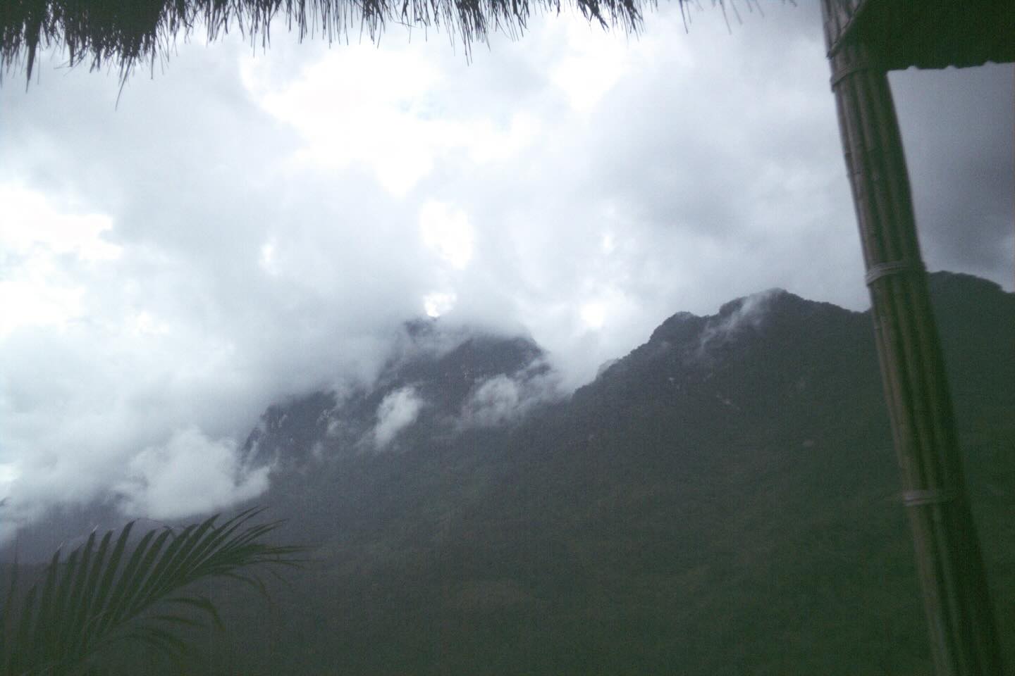 จา - พชร สวนศรี