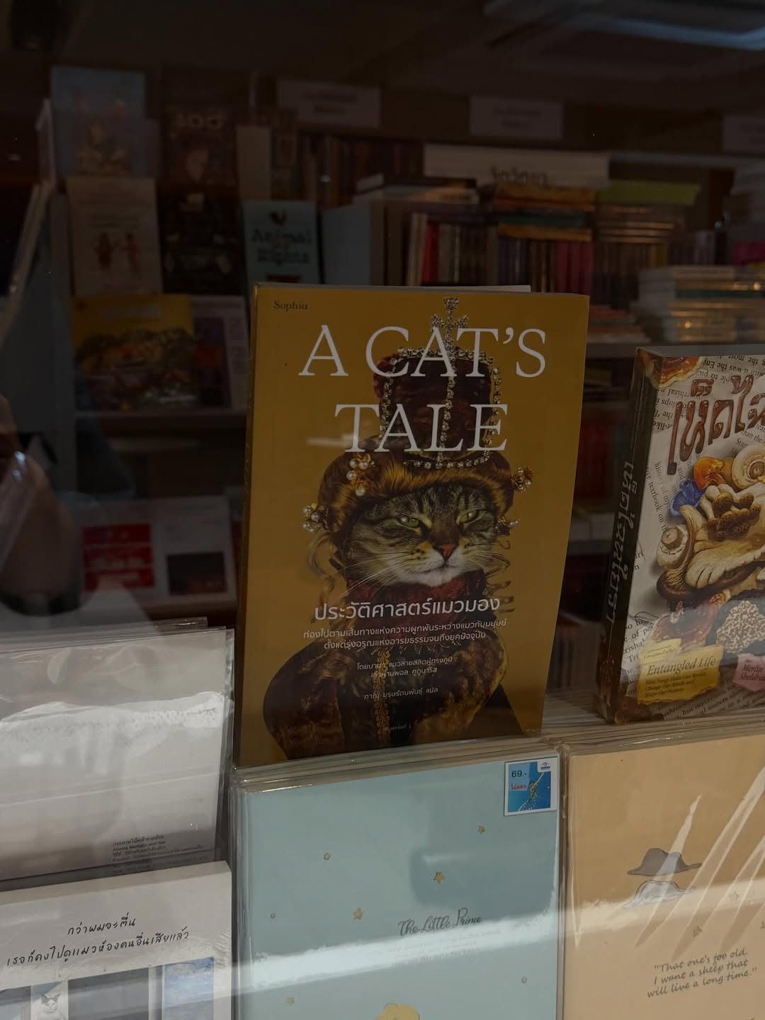 จา - พชร สวนศรี