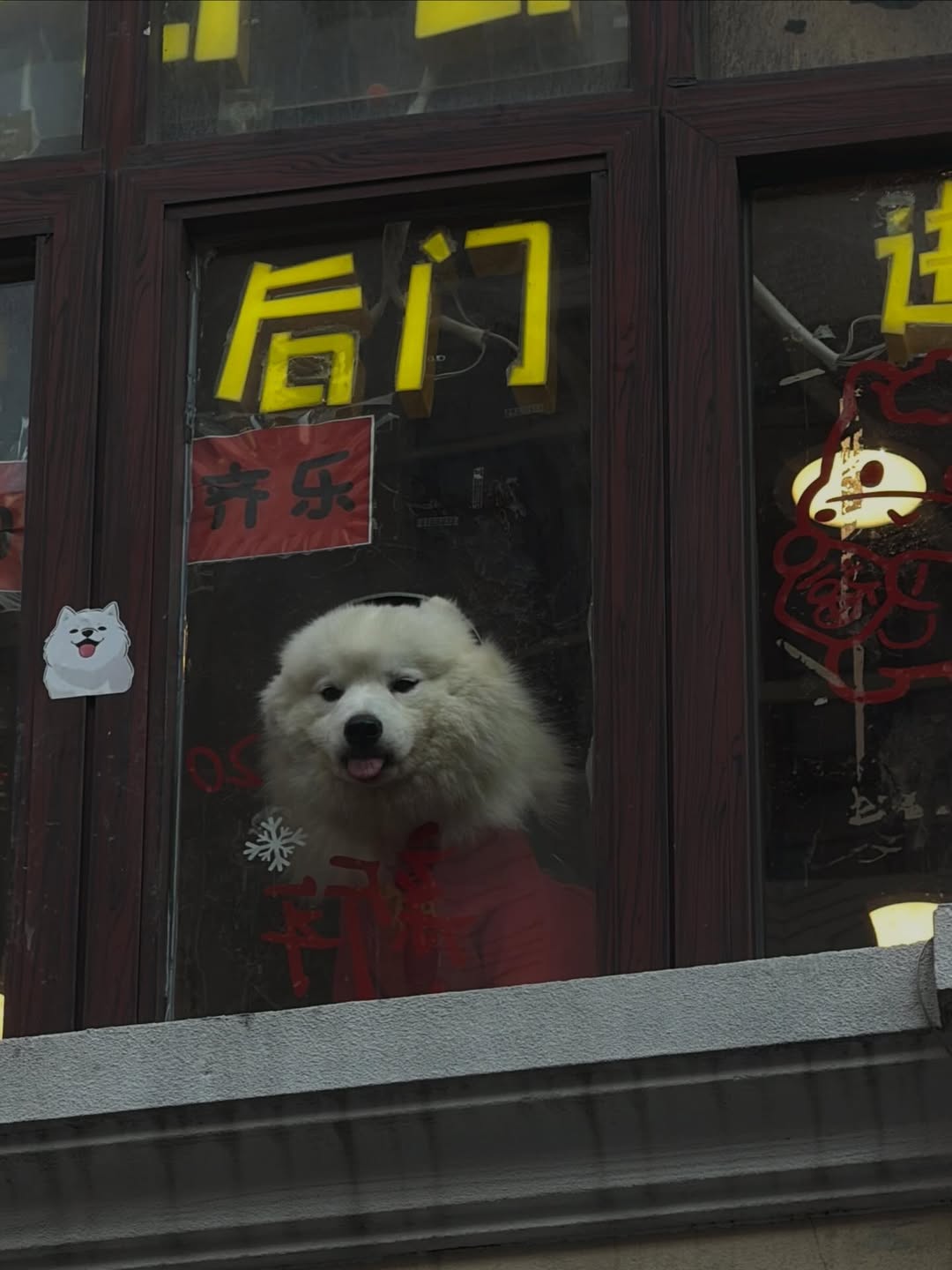 จา - พชร สวนศรี