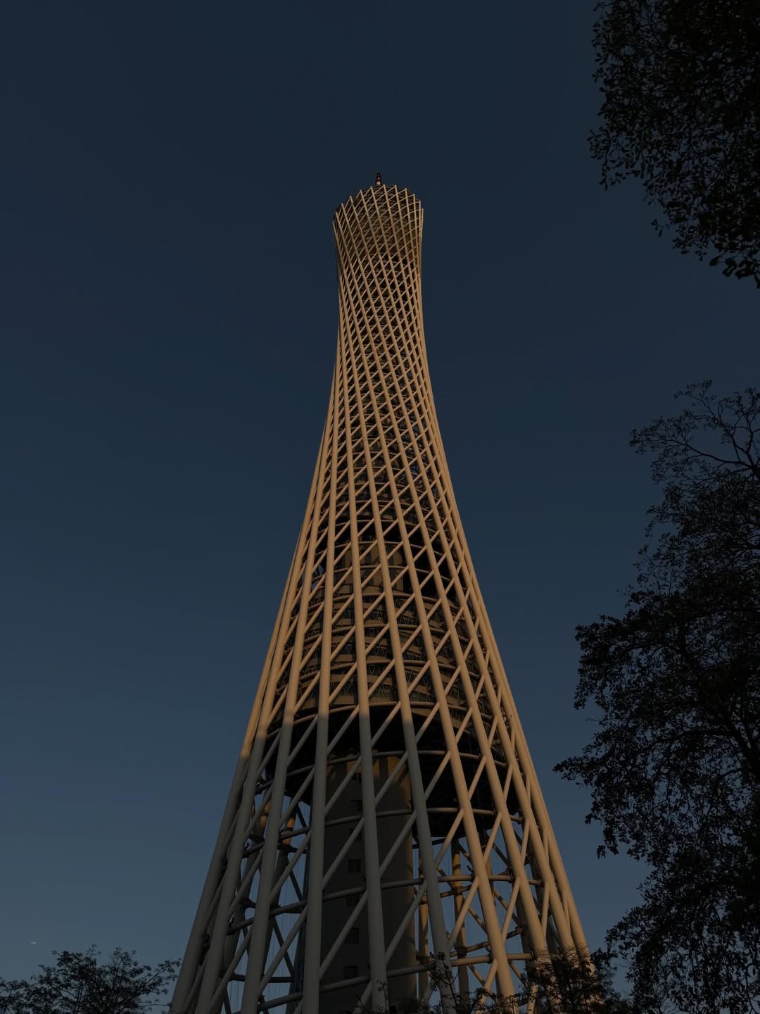 จา - พชร สวนศรี