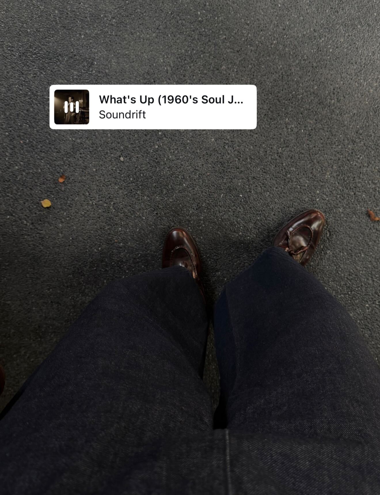 จา - พชร สวนศรี