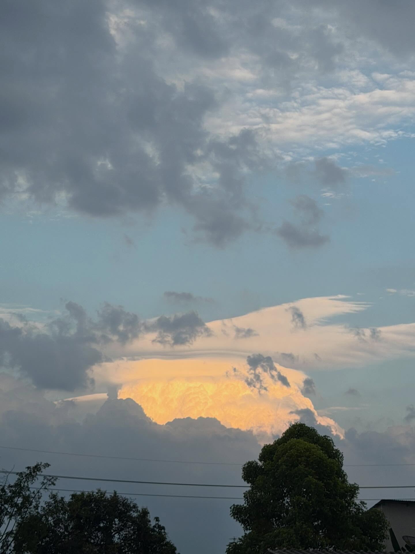 จา - พชร สวนศรี