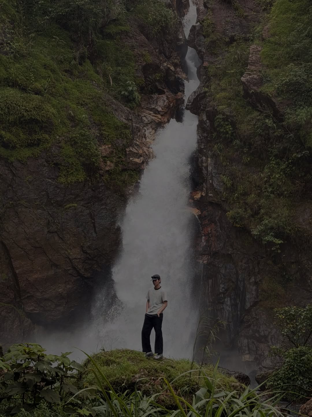 จา - พชร สวนศรี