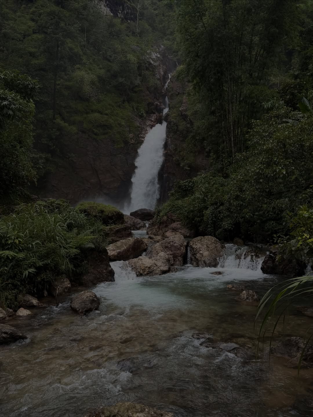 จา - พชร สวนศรี