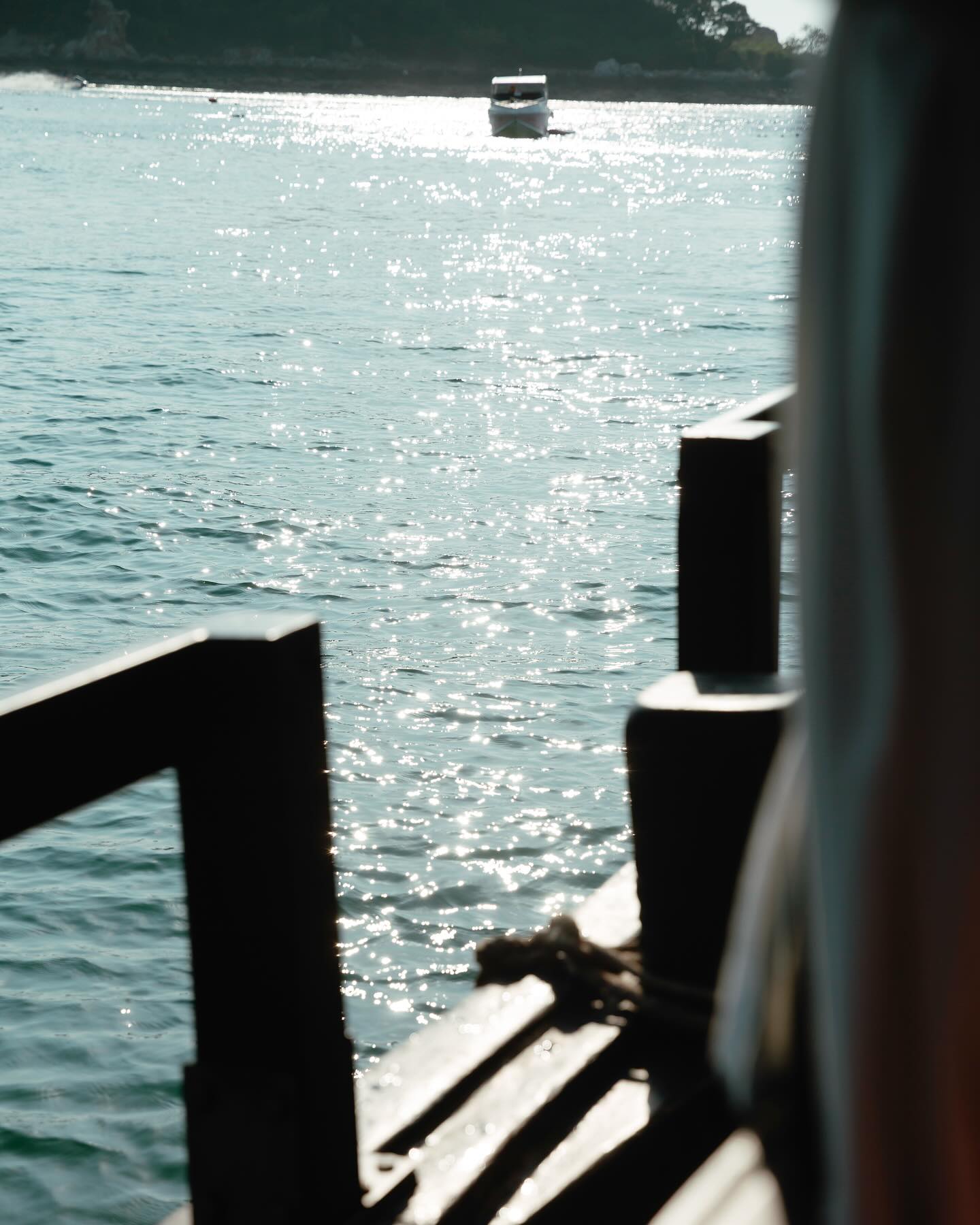 ไมค์ - ภัทรเดช สงวนความดี