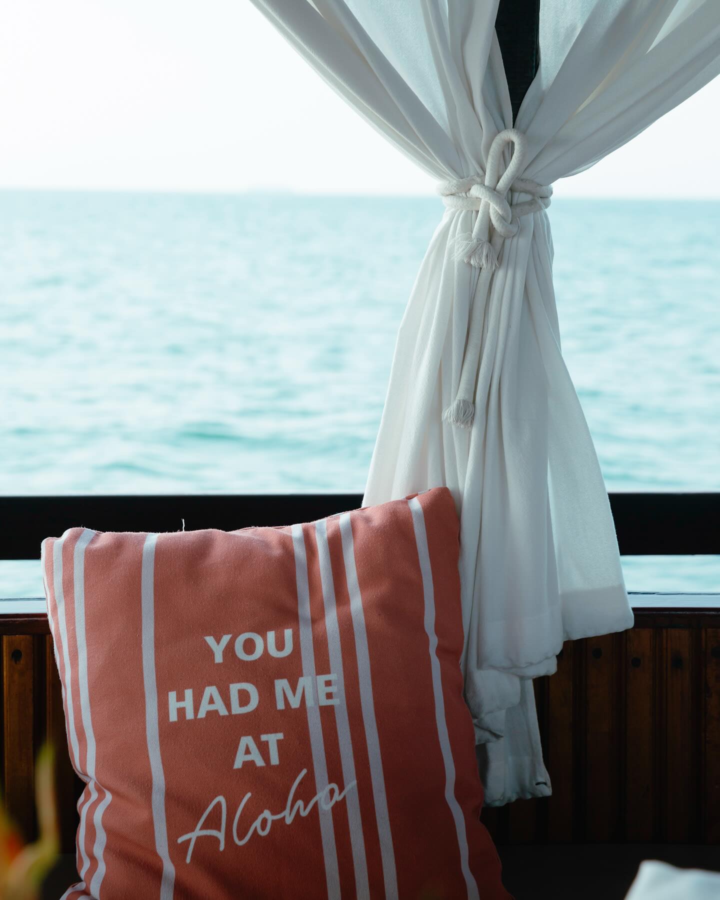 ไมค์ - ภัทรเดช สงวนความดี