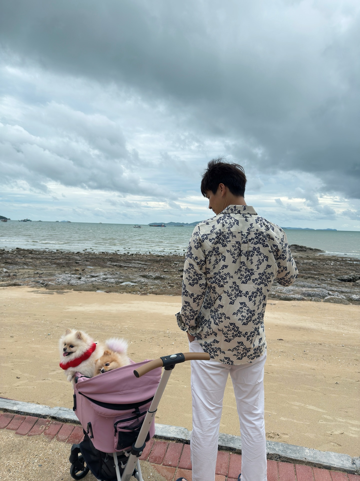 ไมค์ - ภัทรเดช สงวนความดี
