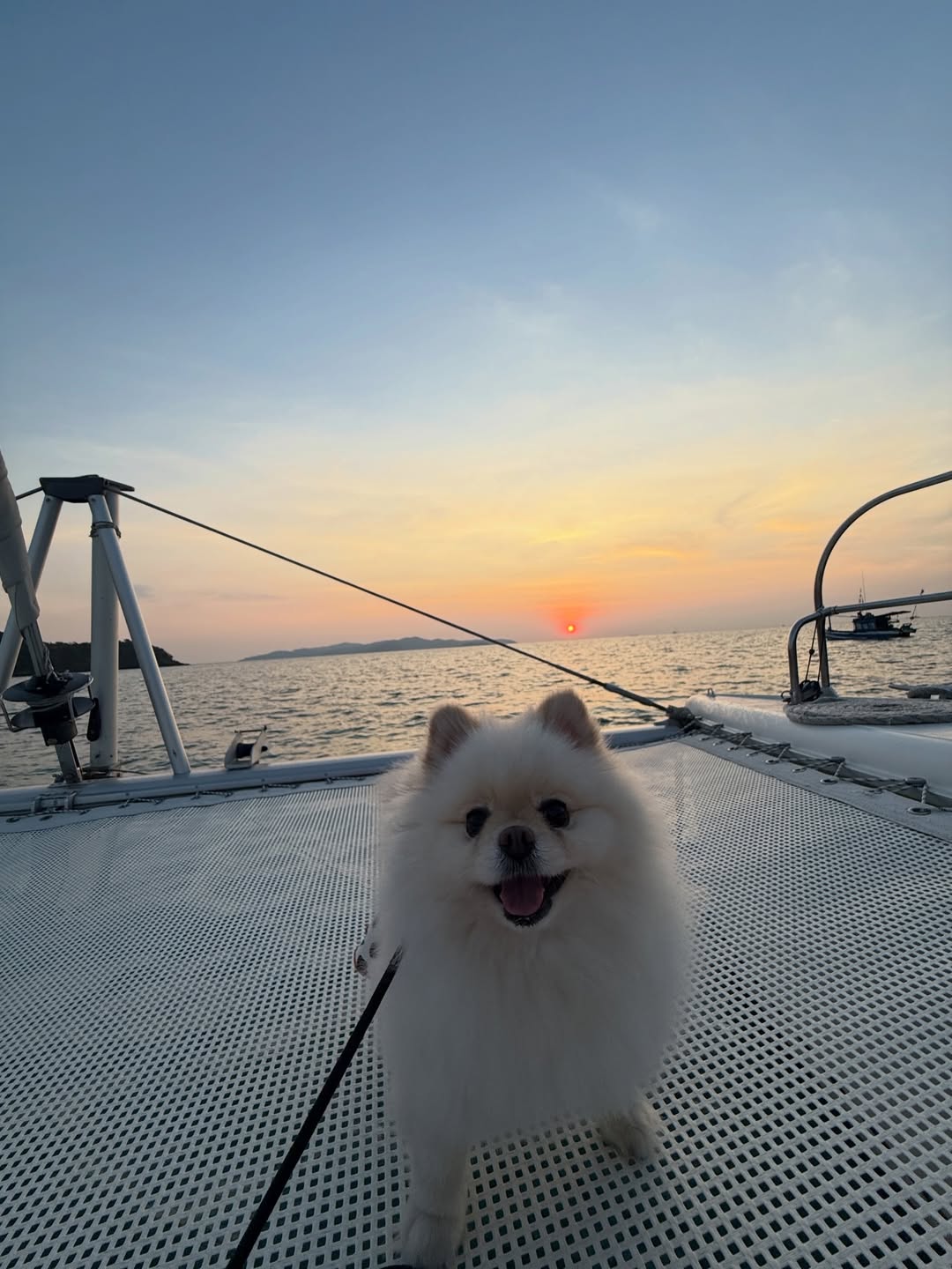 ไมค์ - ภัทรเดช สงวนความดี