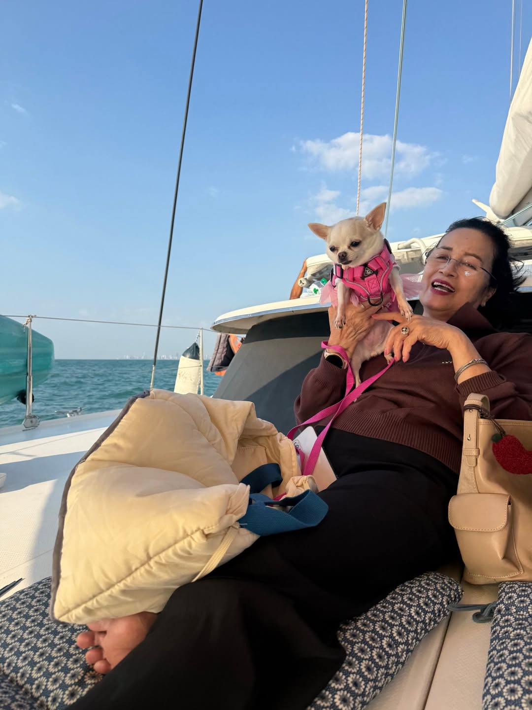 ไมค์ - ภัทรเดช สงวนความดี