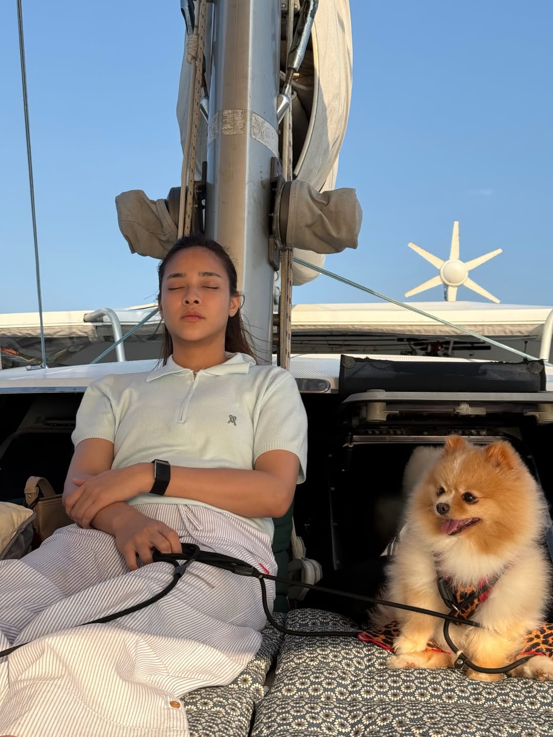 ไมค์ - ภัทรเดช สงวนความดี