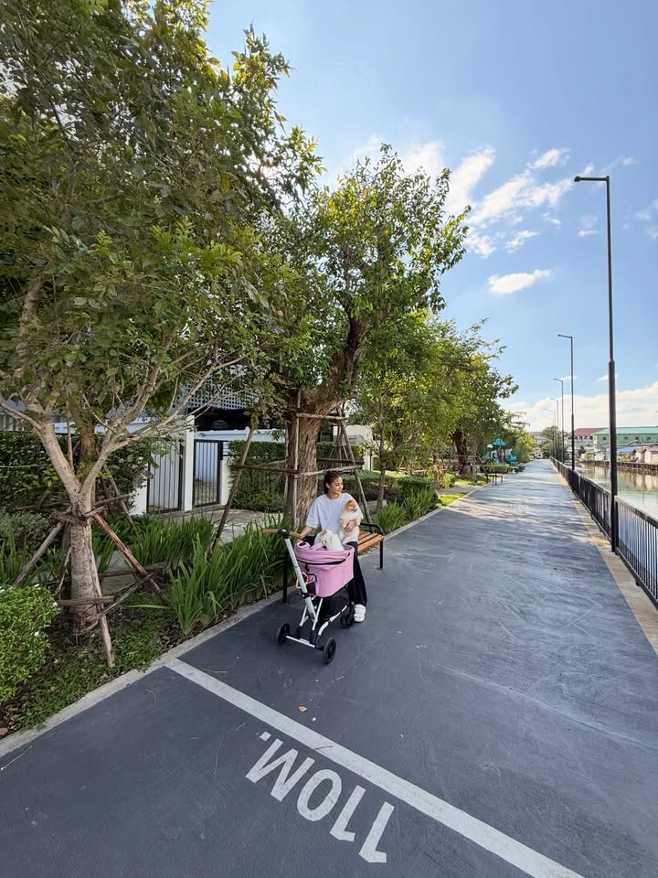 ไมค์ - ภัทรเดช สงวนความดี