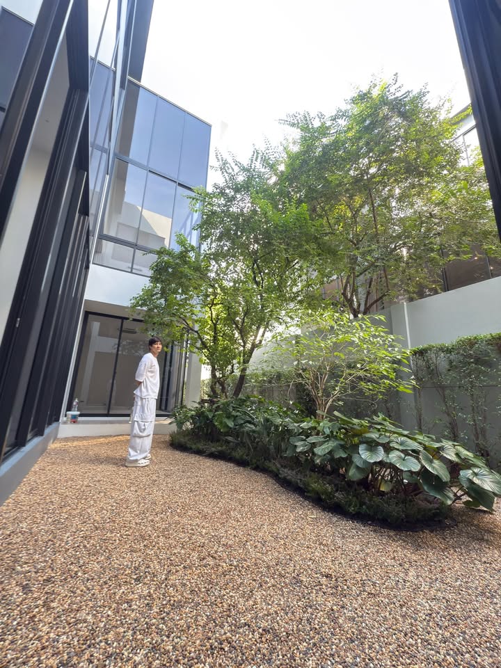 ไมค์ - ภัทรเดช สงวนความดี