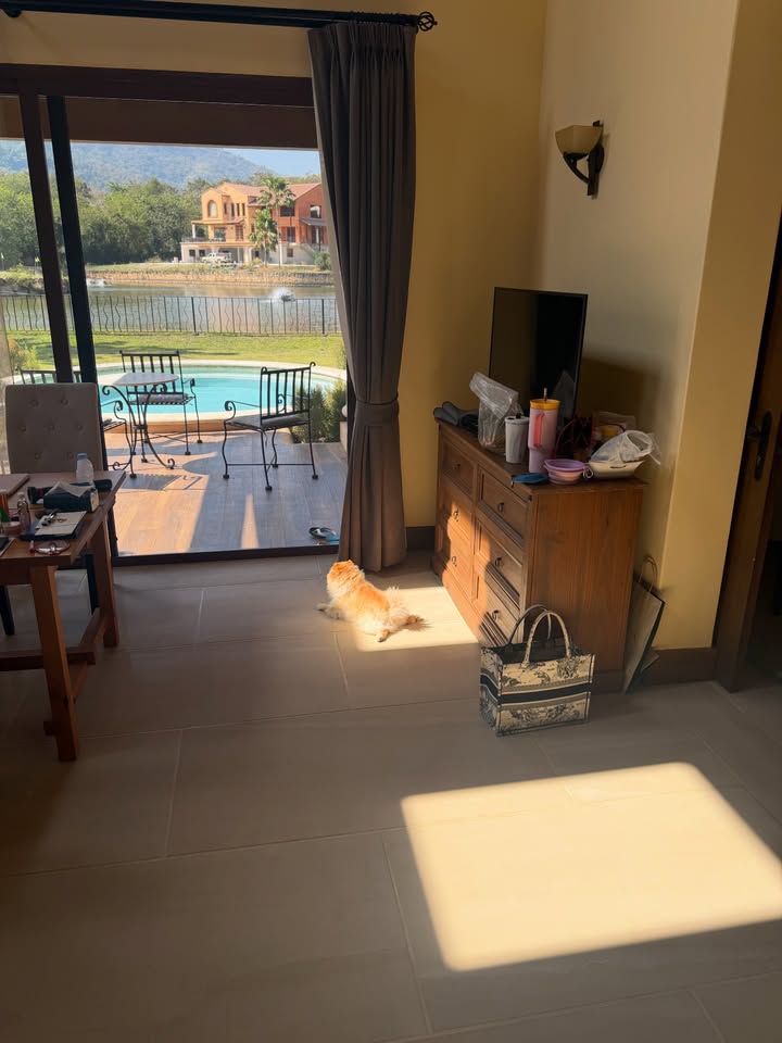 ไมค์ - ภัทรเดช สงวนความดี