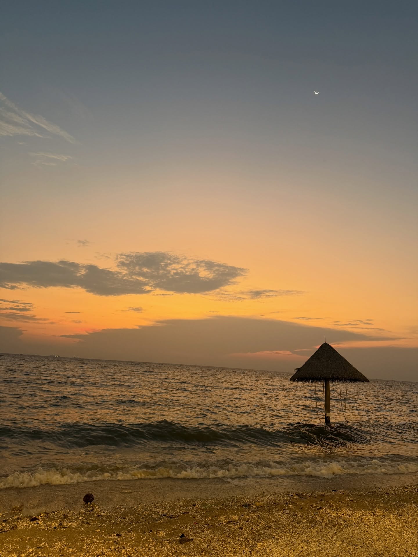 ไมค์ - ภัทรเดช สงวนความดี