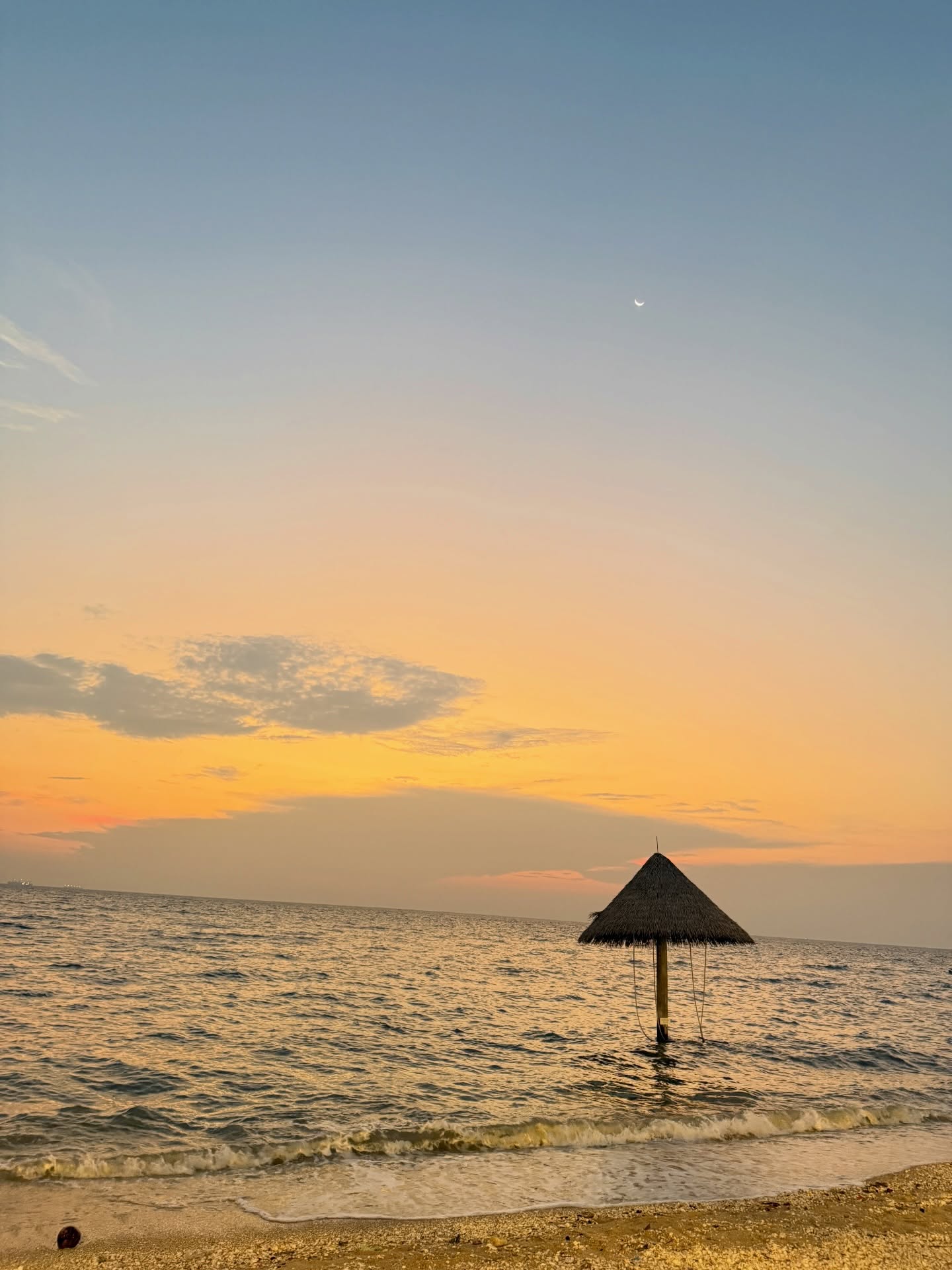 ไมค์ - ภัทรเดช สงวนความดี