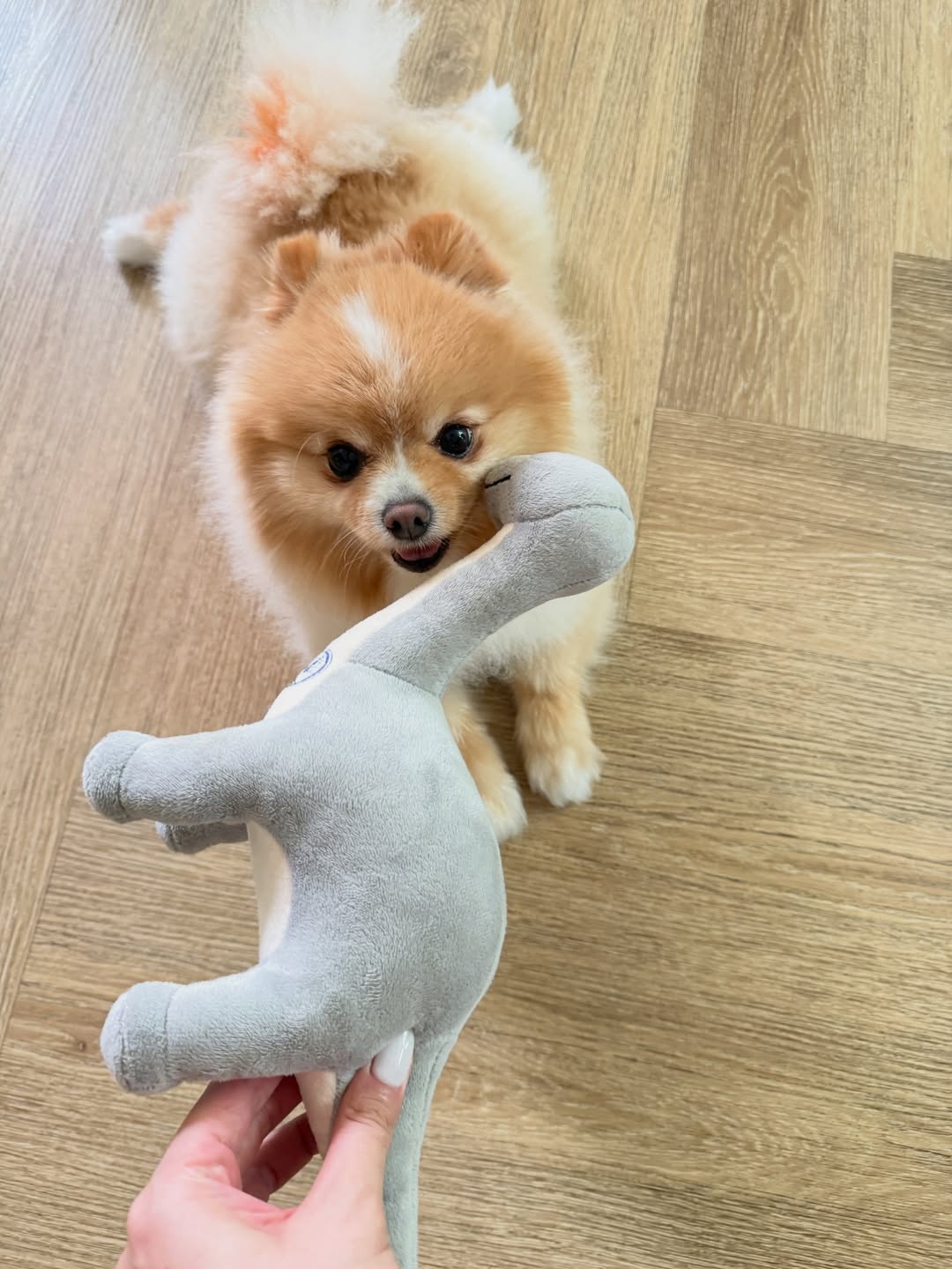 ไมค์ - ภัทรเดช สงวนความดี