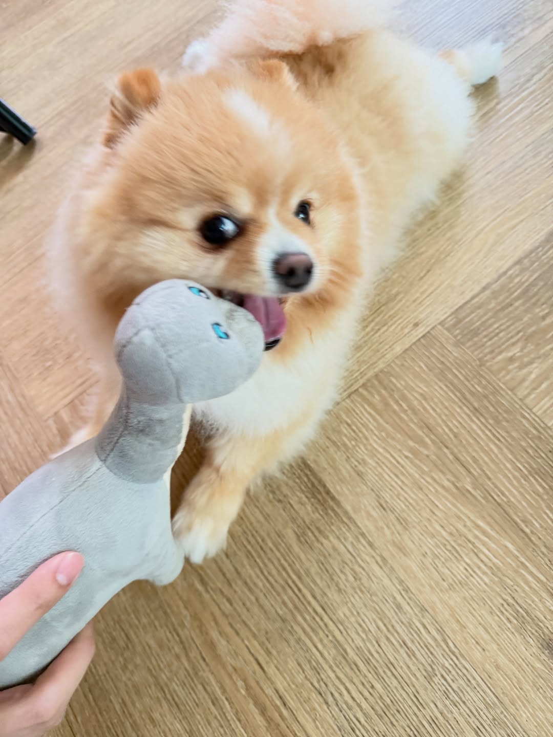 ไมค์ - ภัทรเดช สงวนความดี