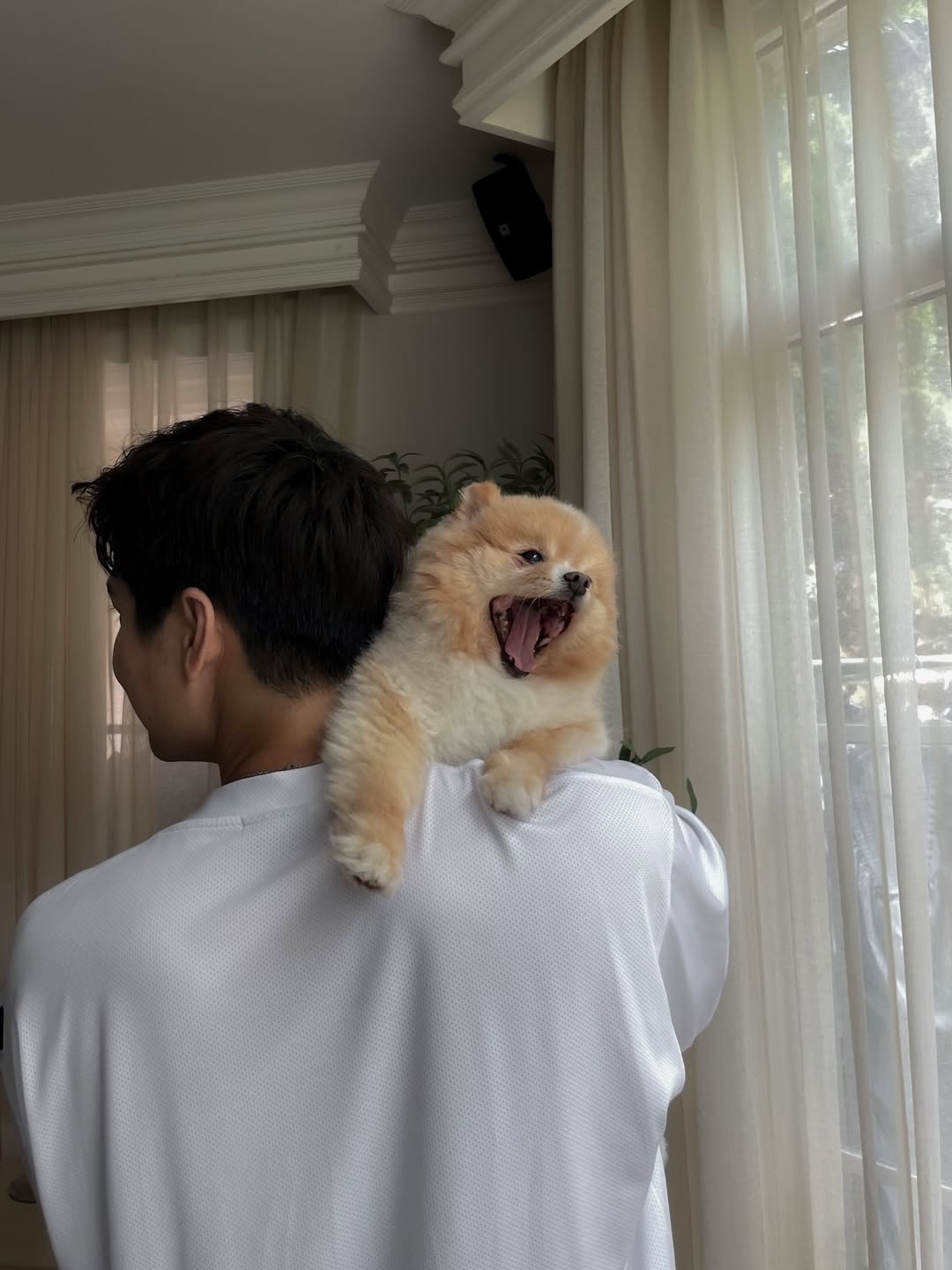 ไมค์ - ภัทรเดช สงวนความดี