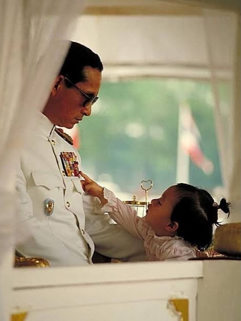 ไมค์ - ภัทรเดช สงวนความดี