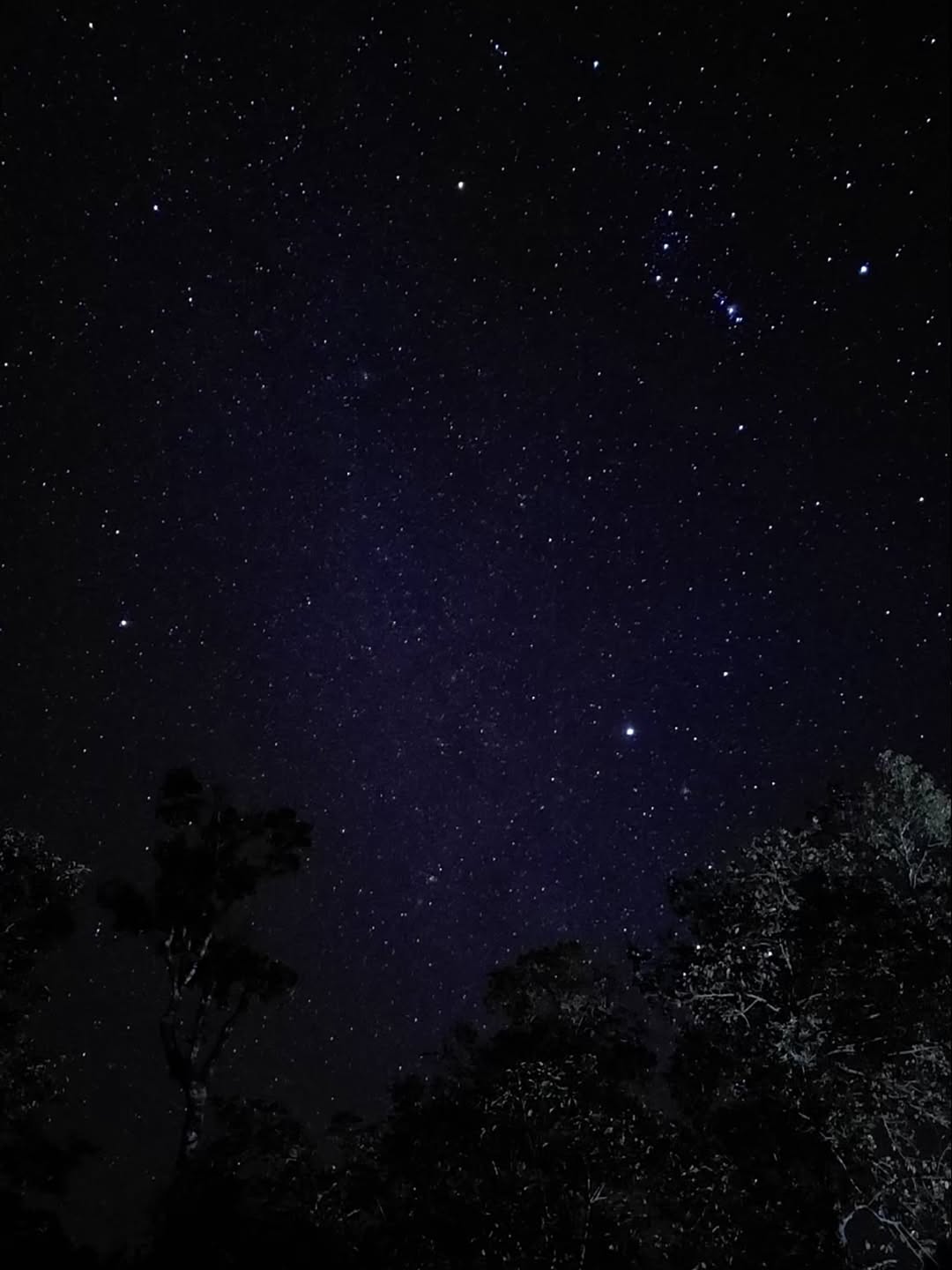 ทับทิม - อัญรินทร์ ธีราธนันพัฒน์