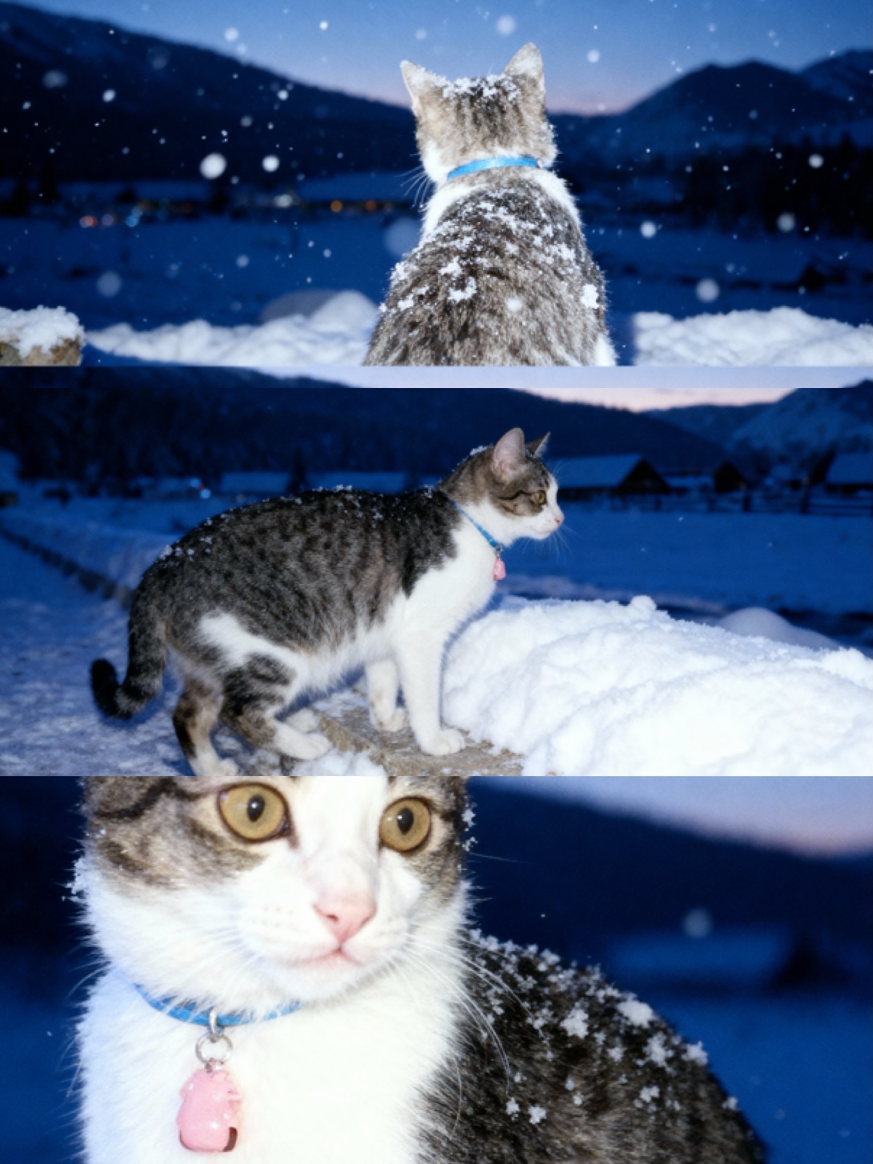 ทับทิม - อัญรินทร์ ธีราธนันพัฒน์