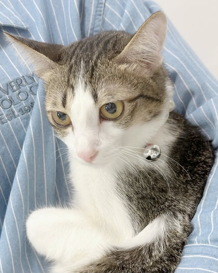 ทับทิม - อัญรินทร์ ธีราธนันพัฒน์